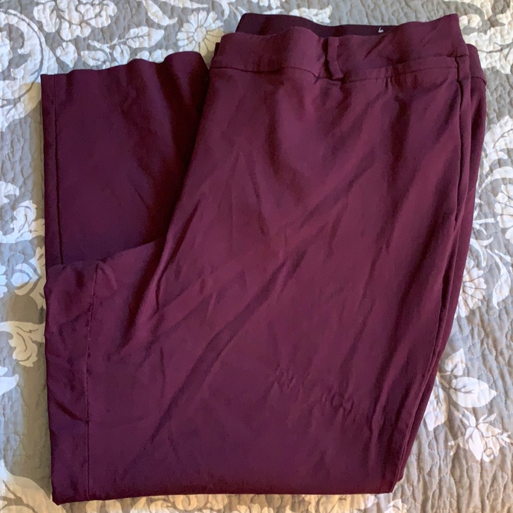 Lane Bryant pants